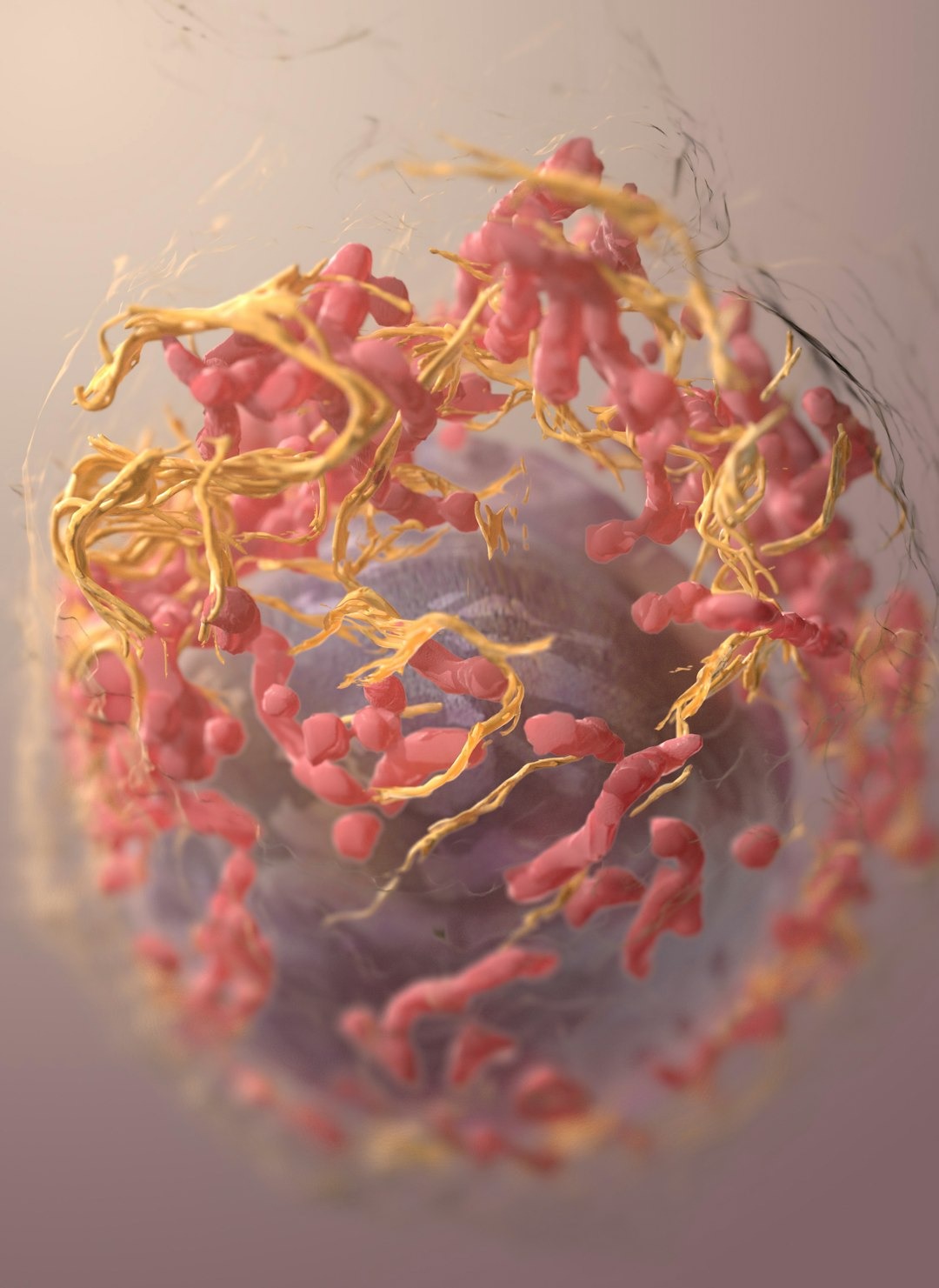 Why Do Some Animals Never Get Cancer? The Peto’s Paradox Explained